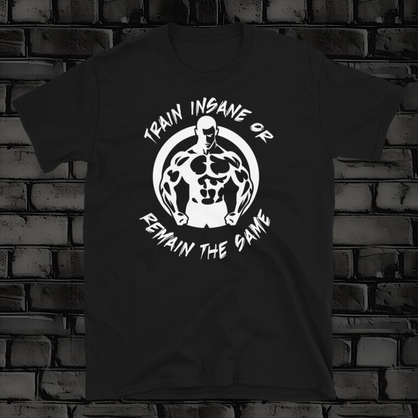 TRAIN INSANE 2 t-shirt