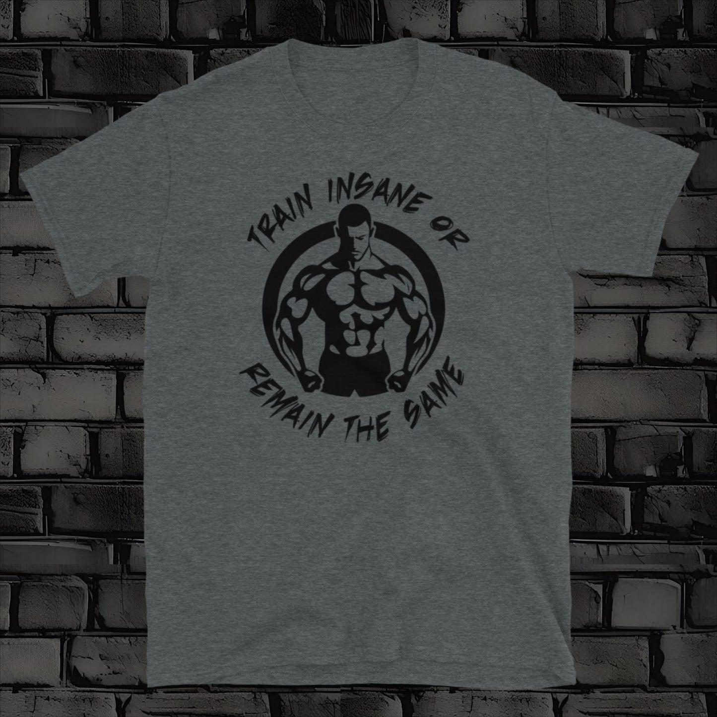 TRAIN INSANE 2 t-shirt